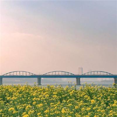 湖北猇亭：“黄金水道”边崛起绿色产业链